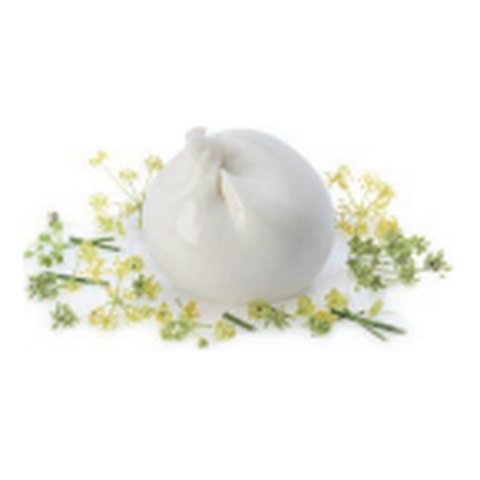 Frozen Burratina Italian fresh cheese